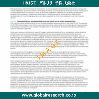 市場調査レポートのイメージ