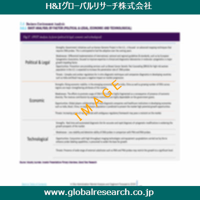 市場調査レポートのイメージ
