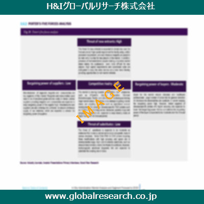 市場調査レポートのイメージ