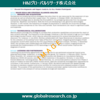市場調査レポートのイメージ