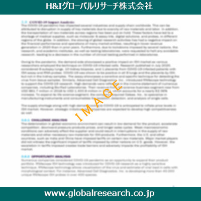 市場調査レポートのイメージ