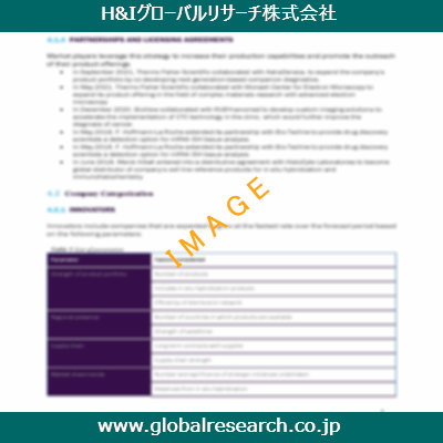 市場調査レポートのイメージ