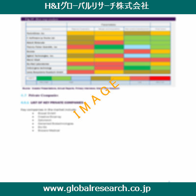 市場調査レポートのイメージ
