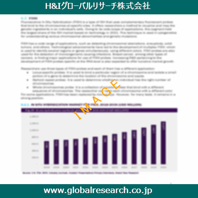 市場調査レポートのイメージ