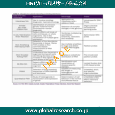 市場調査レポートのイメージ
