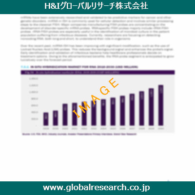 市場調査レポートのイメージ