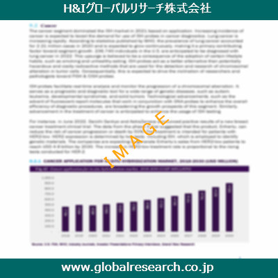 市場調査レポートのイメージ