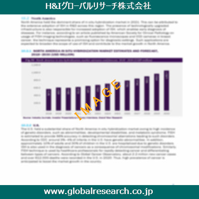 市場調査レポートのイメージ