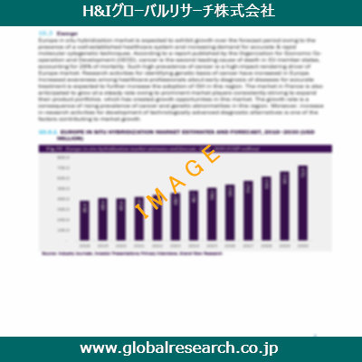 市場調査レポートのイメージ