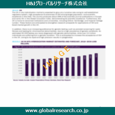 市場調査レポートのイメージ