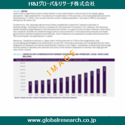 市場調査レポートのイメージ