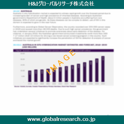 市場調査レポートのイメージ