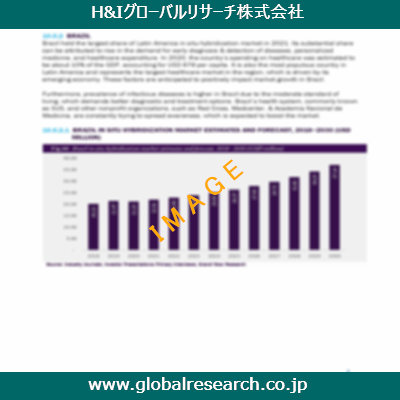 市場調査レポートのイメージ