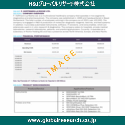 市場調査レポートのイメージ