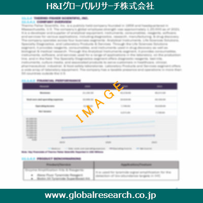 市場調査レポートのイメージ