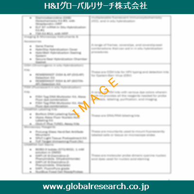 市場調査レポートのイメージ