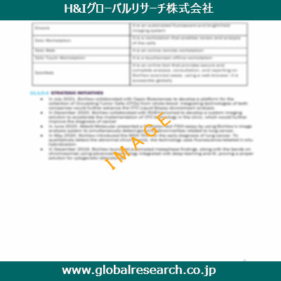 市場調査レポートのイメージ