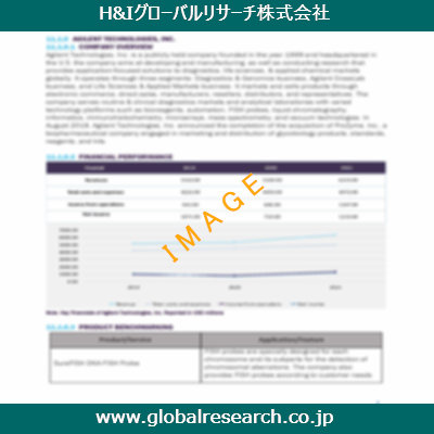 市場調査レポートのイメージ