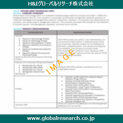 市場調査レポートのイメージ