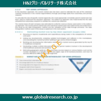 市場調査レポートのイメージ