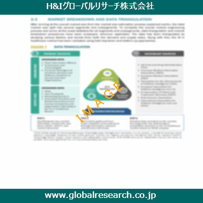市場調査レポートのイメージ