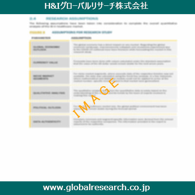 市場調査レポートのイメージ