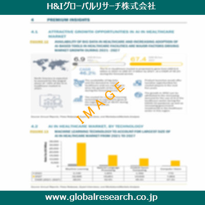 市場調査レポートのイメージ