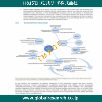市場調査レポートのイメージ