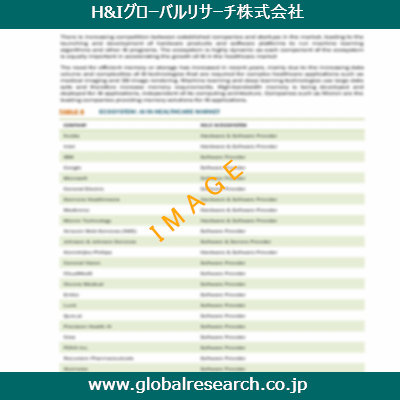 市場調査レポートのイメージ
