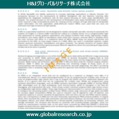 市場調査レポートのイメージ