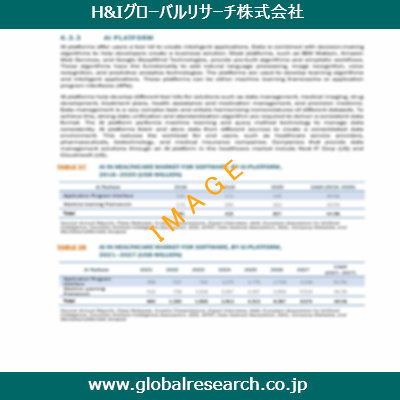 市場調査レポートのイメージ
