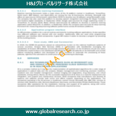 市場調査レポートのイメージ