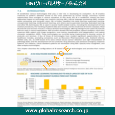 市場調査レポートのイメージ