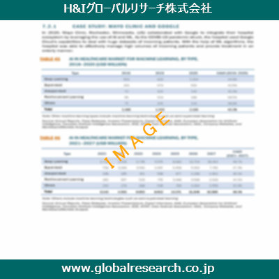 市場調査レポートのイメージ