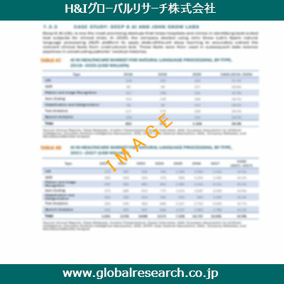 市場調査レポートのイメージ