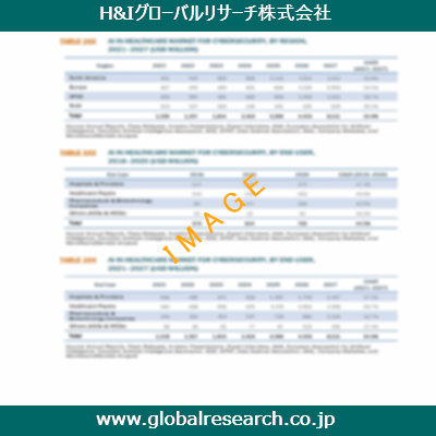 市場調査レポートのイメージ