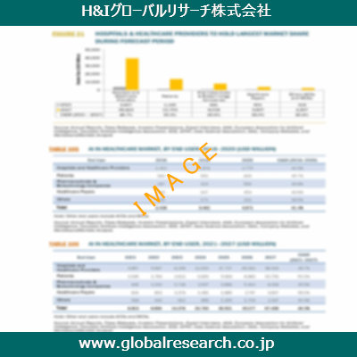 市場調査レポートのイメージ