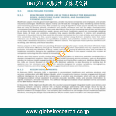 市場調査レポートのイメージ