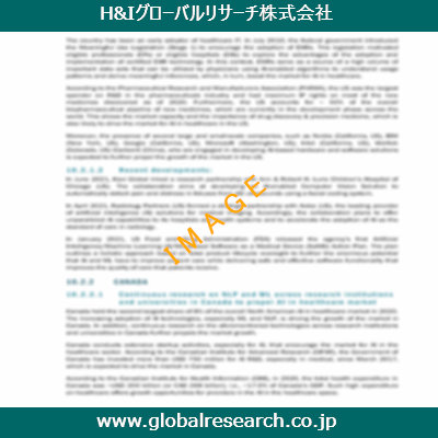 市場調査レポートのイメージ