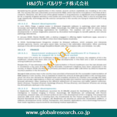 市場調査レポートのイメージ