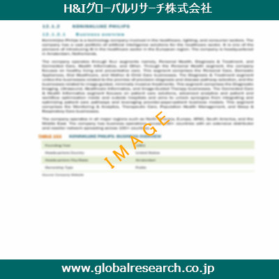 市場調査レポートのイメージ
