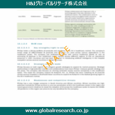 市場調査レポートのイメージ