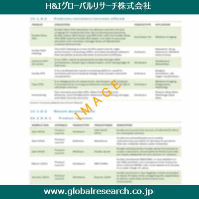 市場調査レポートのイメージ
