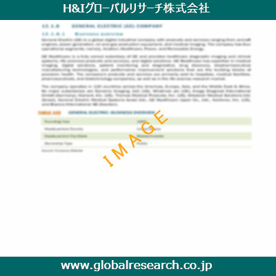 市場調査レポートのイメージ