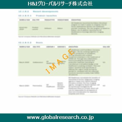 市場調査レポートのイメージ