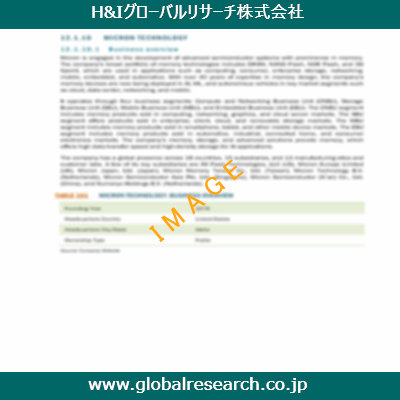 市場調査レポートのイメージ