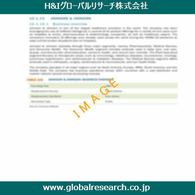 市場調査レポートのイメージ