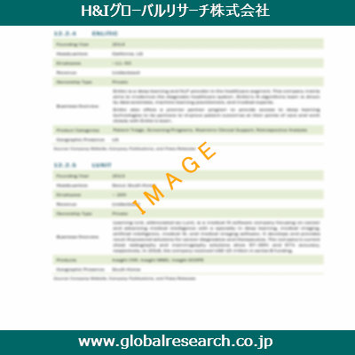 市場調査レポートのイメージ