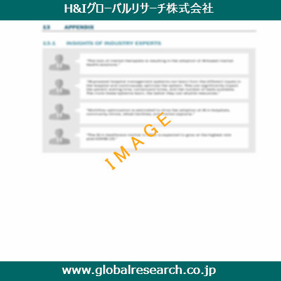 市場調査レポートのイメージ
