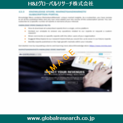 市場調査レポートのイメージ